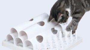 Gato con juguete interactivo